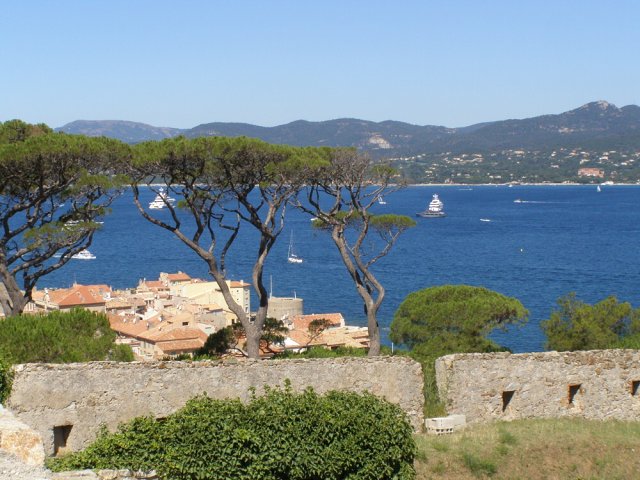 img00049.jpg
